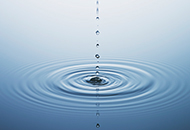 1_0000s_0016_ri_0049_42-22018187.jpg 1_0000s_0016_ri_0049_42-22018187.jpg